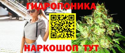 стафф Партизанск