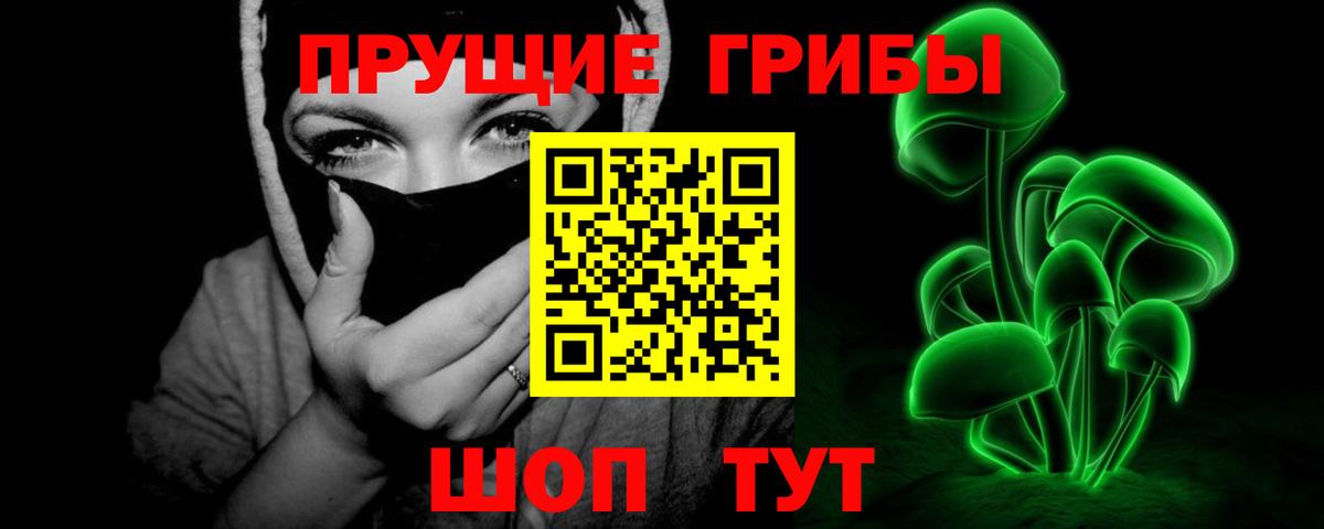 Сергиев Посад  Псилоцибиновые грибы Psilocybine cubensis  наркошоп  Вход с VPN  Галлюциногенные грибы мицелий 
